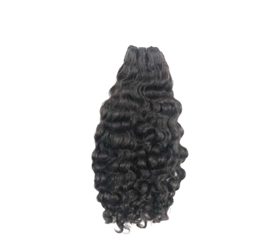 Lavish Burmese Curly