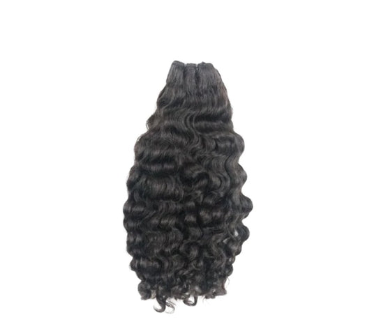 Lavish Burmese Curly